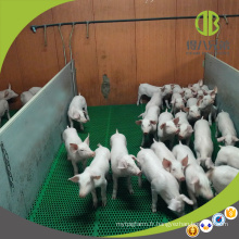 Stylo sevrant de caisse de sevrage de porc de panneau de PVC d&#39;équipement de bétail pour protéger des porcelets